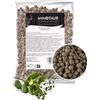 Minotaur Spices | Pimento intero | Grani di pimento | 2 x 250 g (500 g)