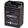 EXTRACELL Batteria al Piombo Ricaricabile SIGILLATA 6 Volt 4,0 Ah SCANALATURA