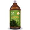 Salugea Succo Aloe Vera Bio Integratore Digestione e Depurazione, 500ml