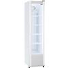CoolHead Armadio Refrigerato Verticale per Bibite RC300 - Acciaio e Porta Vetro - Capacità Lt 300