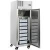 CoolHead Armadio Refrigerato GN2/1 QRX688FH - Pescherie e Laboratori Pesce - Capacità Lt 600