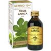 giorgini Ficus carica gemmo 10+100ml