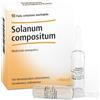 Guna Heel Solanum Compositum 10 Fiale