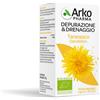 ARKOFARM Srl ARKO CAPSULE TARASSACO BIO 45 CAPSULE