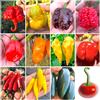 Semi Strani 120 Semi Peperoncino In 12 Varietà Delle Più Piccanti e Gustose Del Mondo, Collezione 2 + Guida Coltivazione: CAROLINA REAPER, SCORPION, BORG 9, HABANERO, FATALII, ACRATA, JALAPENO, SATANA etc