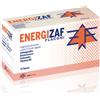 ZAAF PHARMA & C. Sas Energizaf Flaconi Zaaf Pharma 10x10ml
