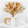 Sosayet 100 Pezzi Fiori Secchi Decorativi, Sosayet Erba Della Pampas Decorative 40-44 cm, Erba di Pampa Essiccata Naturale per Matrimoni, Feste, Decorazioni Boho