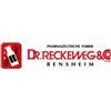 Dr. Reckeweg & Co. Gmbh Reckeweg R49 100 Compresse