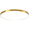 Mengjay Plafoniera LED 30W 3000LM, lampadario led soffitto in acrilico, plafoniera led soffitto Rotondo moderni, plafoniera soffitto industriale luce tricolore 3000K-6000K (Oro)