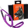 Canny Collar - Collare a Cavezza Addestramento Cane | Collare Anti‑Tiro Gentile e Sicuro | Camminate Piacevoli Senza Stress - Viola - Taglia 5