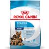 royal canin starter