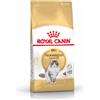 Royal Canin Gatto Norvegese delle Foreste 2KG