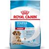 Royal Canin Starter Mother & Babydog Medium 4KG