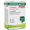 ALFASIGMA SpA ENTEROLACTIS® Plus ALFASIGMA® 14 Bustine