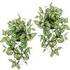 Flair Flower Tradescantia - Set di 2 piante artificiali per tradescantia, decorazione sospesa, ghirlanda per piante rampicanti, semaforo verde, pianta da interni, pianta rampicante, anca edera