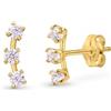 Amberta Allure Orecchini a Lobo da Donna in Oro 9k: Orecchini Donna Oro con Zirconi