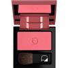 Diego Dalla Palma POLVERE COMPATTA - BLUSH N.22