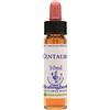 NATUR Srl CENTAURY ESS 10ML INGL HERBS