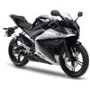 Kit adesivi grafica decal compatibili Yamaha R125 yzf stella vari colori C. 1762