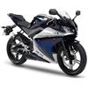 Kit adesivi grafica decal compatibili Yamaha R125 yzf stella vari colori C. 1762