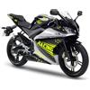 Kit adesivi grafica decal compatibili Yamaha R125 yzf stella vari colori C. 1762