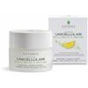 Bios Line Nature's Acque Unicellulari Aquagel Crema Viso Effetto Mat Spf20 50 Ml