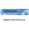 Boiron Spongia Tosta 9 Ch Granuli
