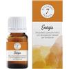 Zeta Farmaceutici Balsamo 7 Piante Energia Essenza per Ambienti 15 ml