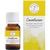 Zeta Farmaceutici Balsamo 7 Piante Concentrazione Essenza per Ambienti 15 ml