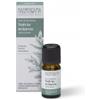 Nasoterapia Olio Essenziale Salvia Sclarea 100% Puro e Naturale 5 ml