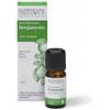 Nasoterapia Olio Essenziale Bergamotto Biologico 100% Puro Naturale 10 ml