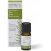 Nasoterapia Olio Essenziale Tea Tree Biologico 100% Puro Naturale 10 ml