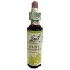 Schwabe Pharma Italia White Chest Bach Orig 20 Ml