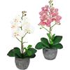Flair Flower Fiori artificiali, orchidea artificiale, 35 cm, con foglie e radici aeree, in vaso, orchidea artificiale, phalaenopsis, fiori artificiali, decorazione per matrimoni, fiori di seta, set da 2 pezzi,
