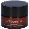 Collagenina Labo LABO Collagenina Crema Notte con 6 collageni a Rapida Penetrazione - Grado 2 50 ml notte