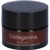 Collagenina Labo LABO Collagenina Crema Collo 6 Collageni Rapida Penetrazione Grado 2 50 ml