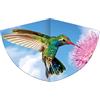 GÜNTHER FLUGSPIELE 1178 - Aquilone per bambini con motivo a colibrì, aquilone a linea singola in robusto foil di PE con scala regolabile, per bambini dai 4 anni, dimensioni circa 75 x 48 cm.