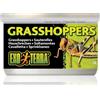 Exo Terra Askoll 281756 Exo Terra Reptiles Canned Food, Male Grasshoppers, 1.2-Ounce by