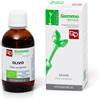 FITOMEDICAL Snc di Moretti G. OLIVO MACERATO GLICERINATO BIO 50 ML