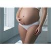 Medela Mutandina Maternità - Bianco - tg. L di Medela