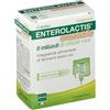ALFASIGMA SpA Enterolactis Orosolubile Alfasigma 12 Bustine
