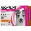 Frontline Tri-Act Spot-On Cani 5-10 Kg 6 Pipette