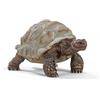 schleich 14824 Tartaruga gigante, da 3 anni, WILD LIFE - Figura, 4 x 8 x 4 cm