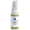Celfood Msm Integratore Spray 30 ml