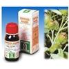 Specchiasol Soluzione Idroalcolica 1 Bardana 50 ml