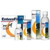 ENTEROFILUS Drn Enterofilus Mangime Complementare Simbiotico Cani E Gatti 100 ml