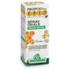 Specchiasol Epid Spray Orale Con Erisimo Integratore Per la Voce 15 ml