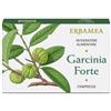 GARCINIA FORTE 30CPR