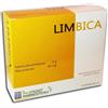 LIMBICA 14BUST