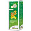 Boiron Propolis Spray Gola Adulto 15 ml